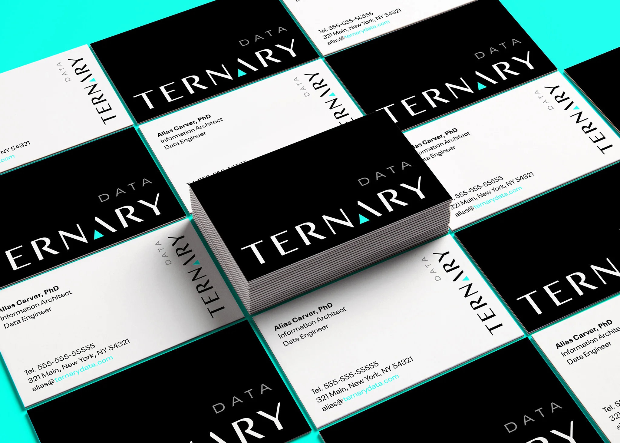Ter-nary Buscard Design Tech Saas 2.jpg