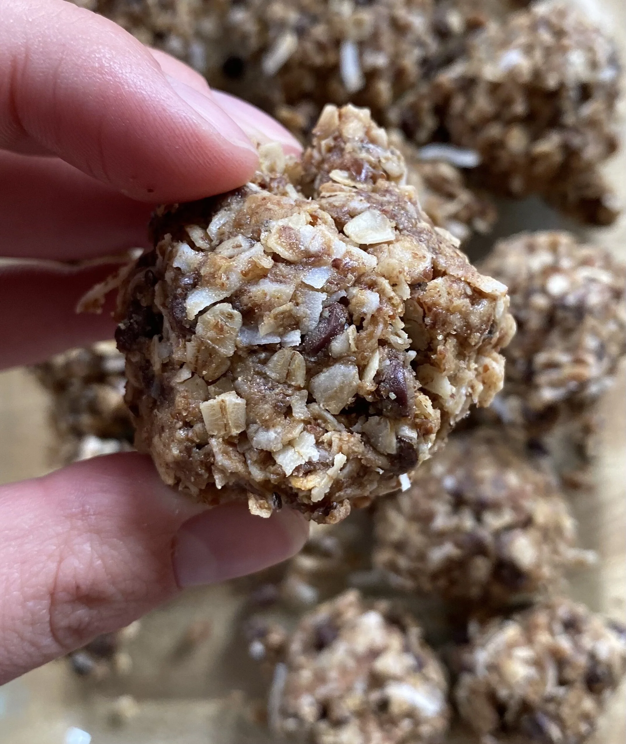 No Bake Energy Bites!