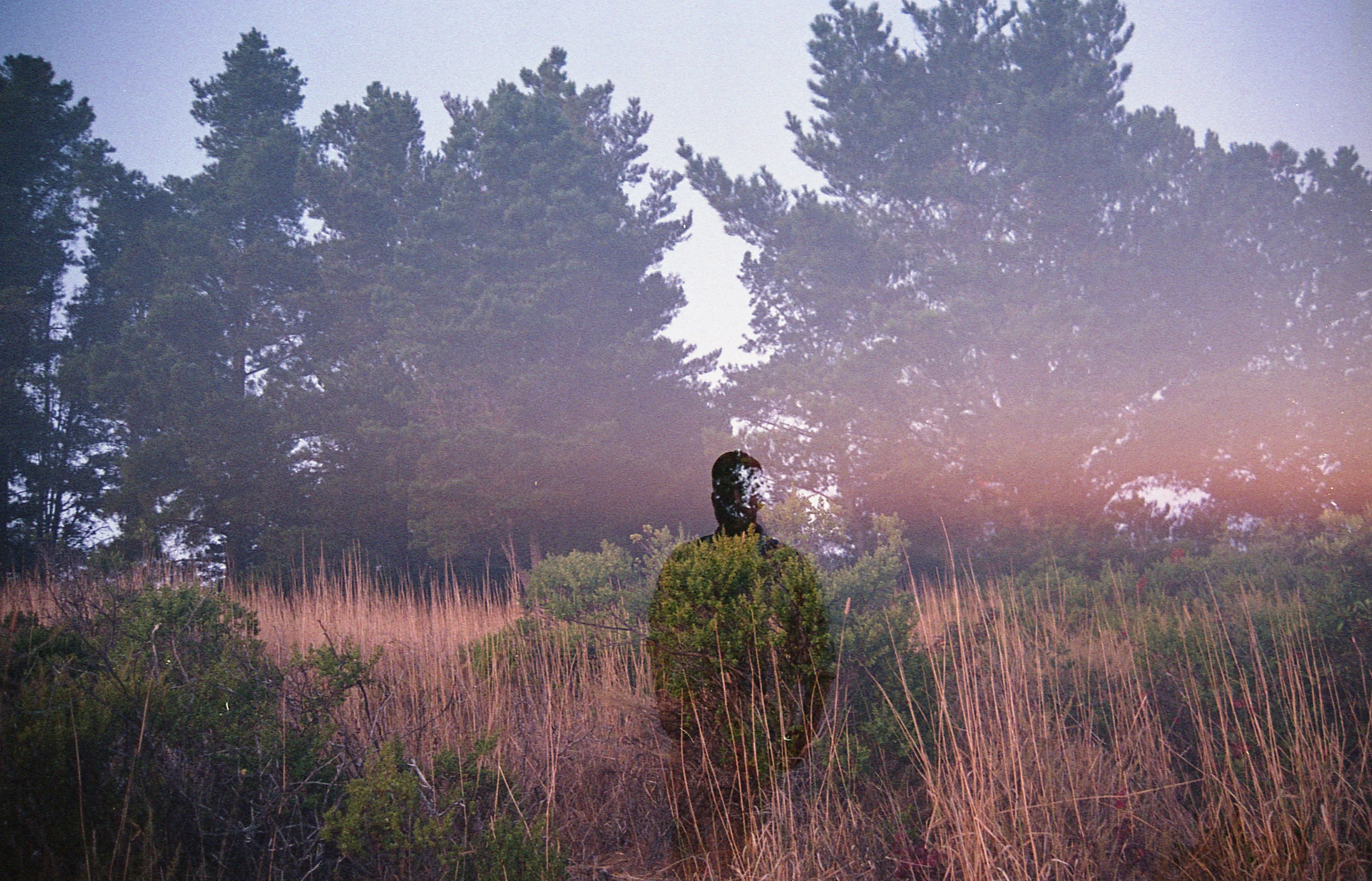 August Big Sur-004.jpg