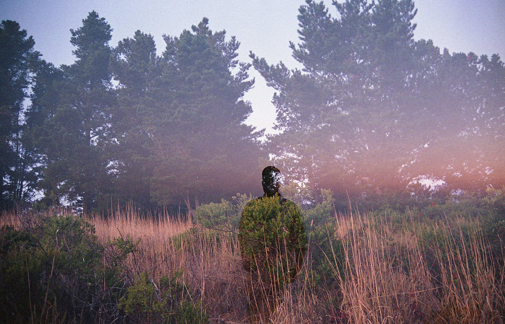 Shadow Sunset Self Portrait.jpg