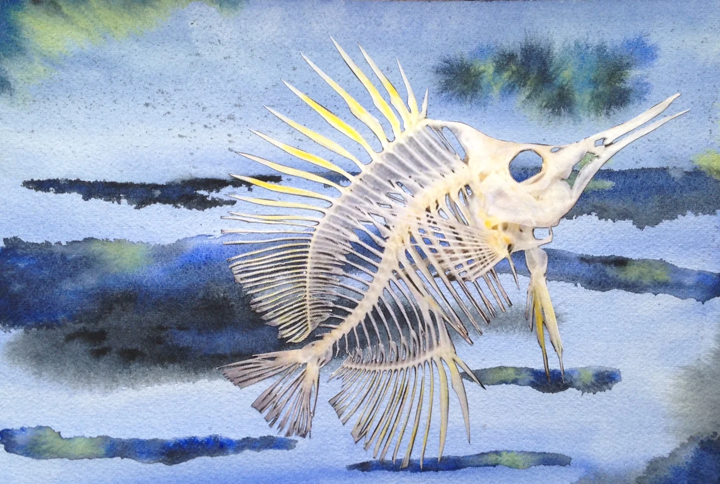 FullSizeRender (7).jpg