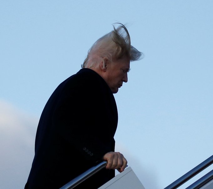 trumphair.jpeg
