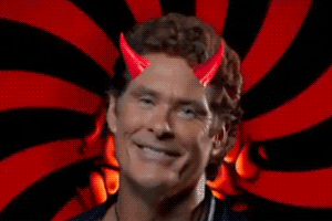dhasselhoff.gif