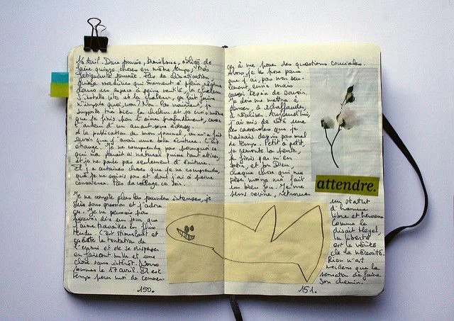 english_practice-diary__large.jpg