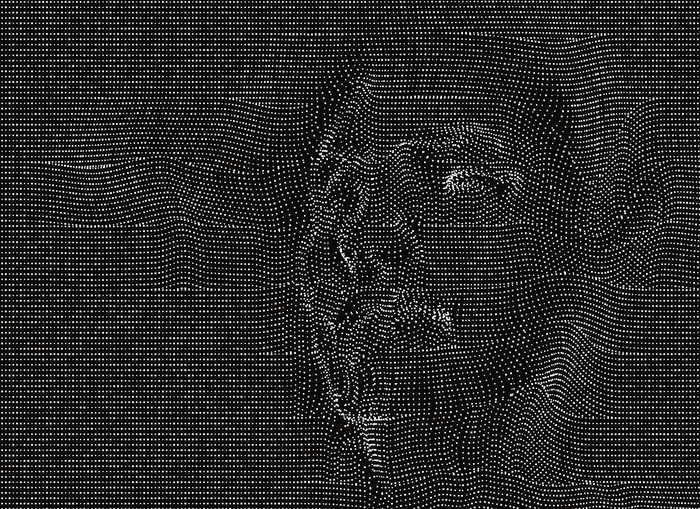 faceinthedata.jpeg