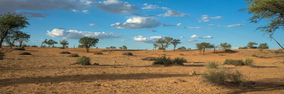 20180405_175719_0000_0482-01-web.jpg