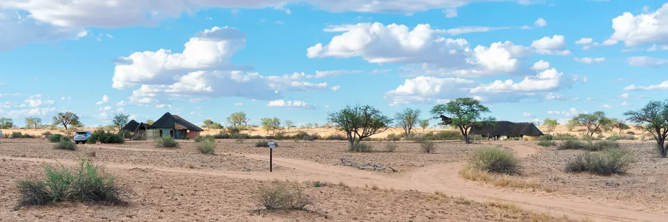 20180405_171512_0000_0468-01-web.jpg