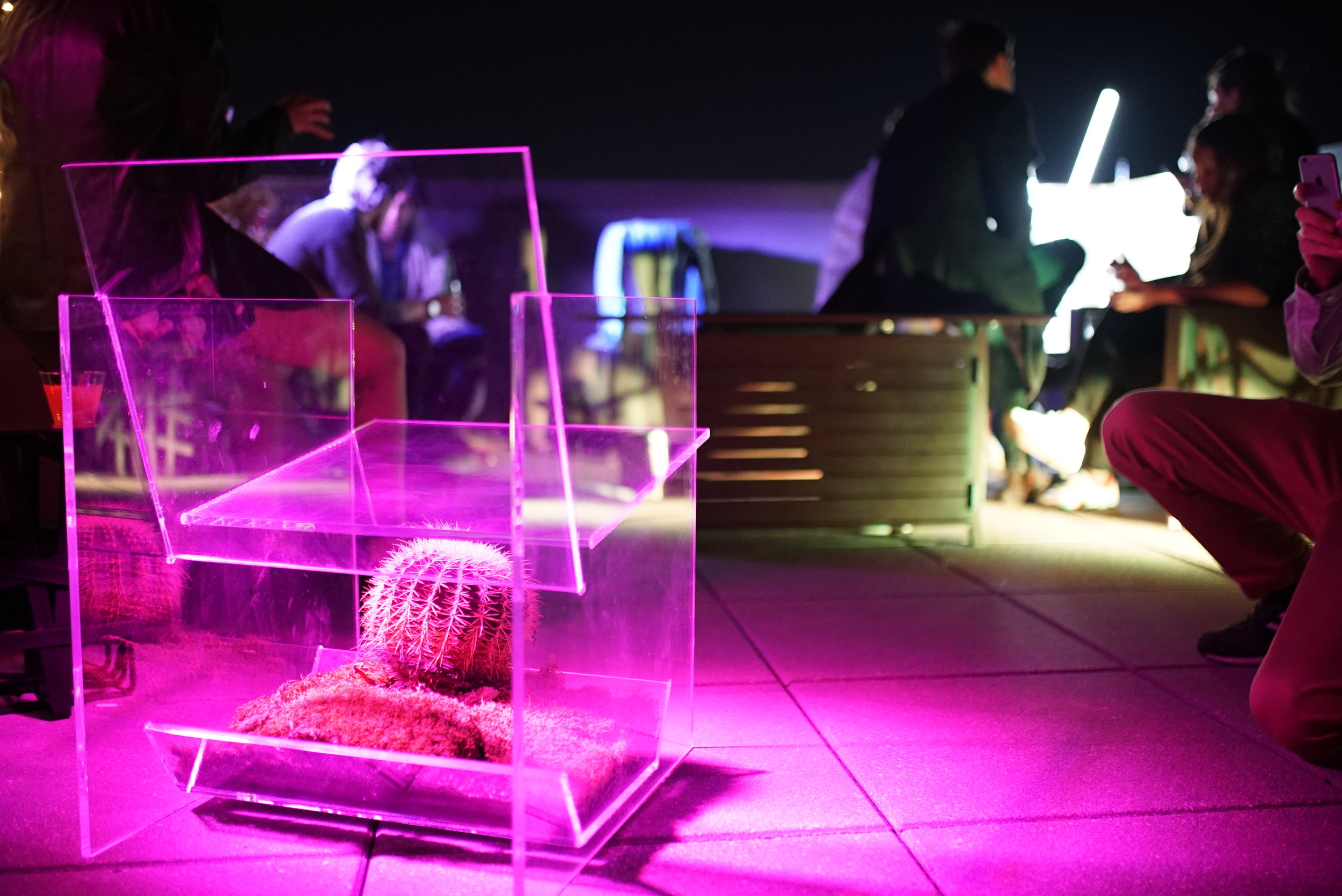 ny-events-product-launch-rooftop03074.jpg