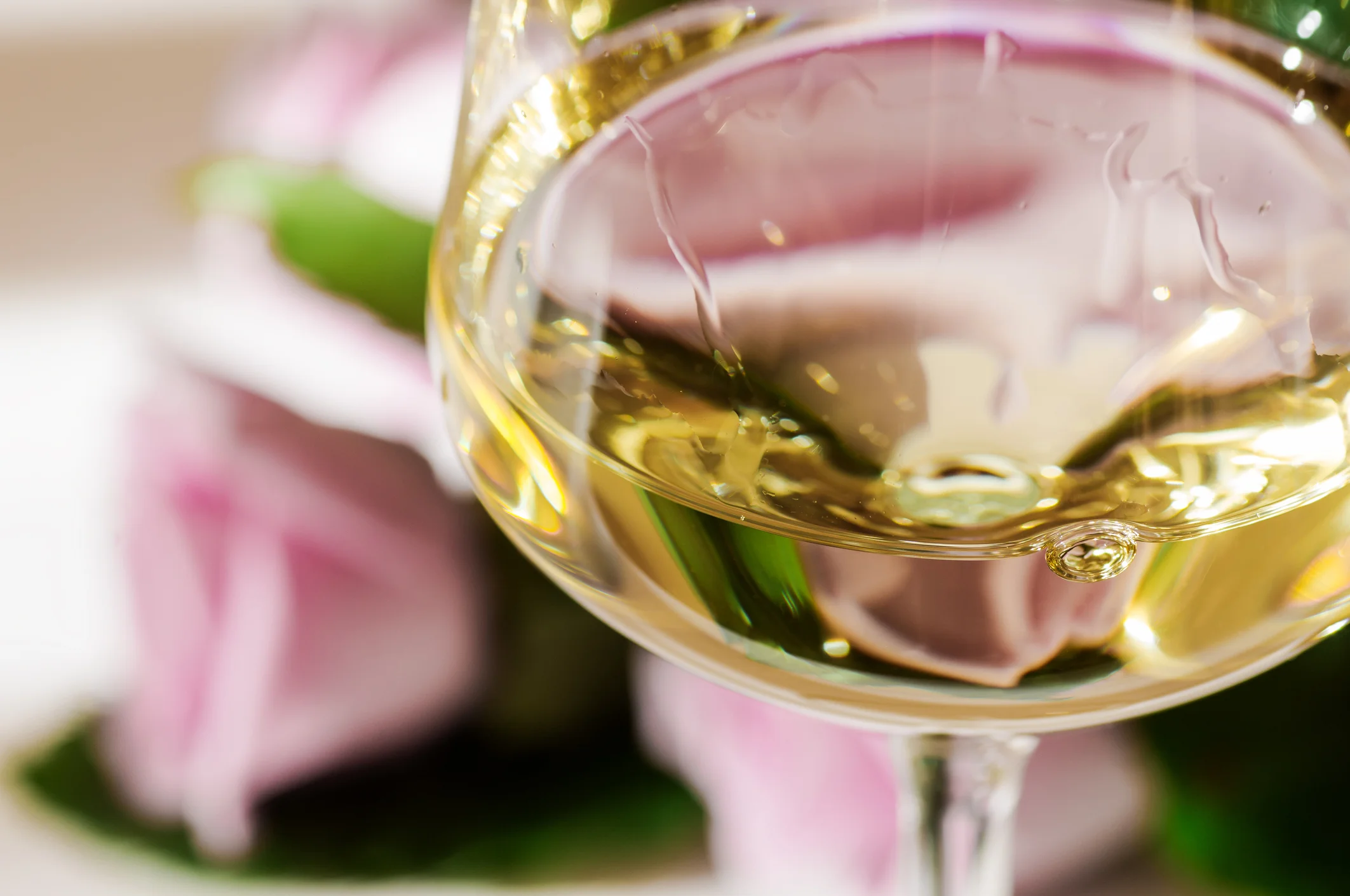 SPANDGG ART GALLERY WINE AND BEER BAR