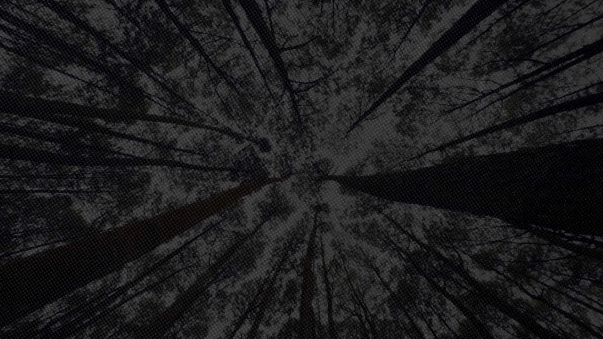 images.022.jpeg