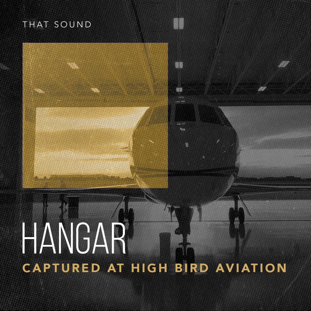 CONCEPT Hangar cover.png
