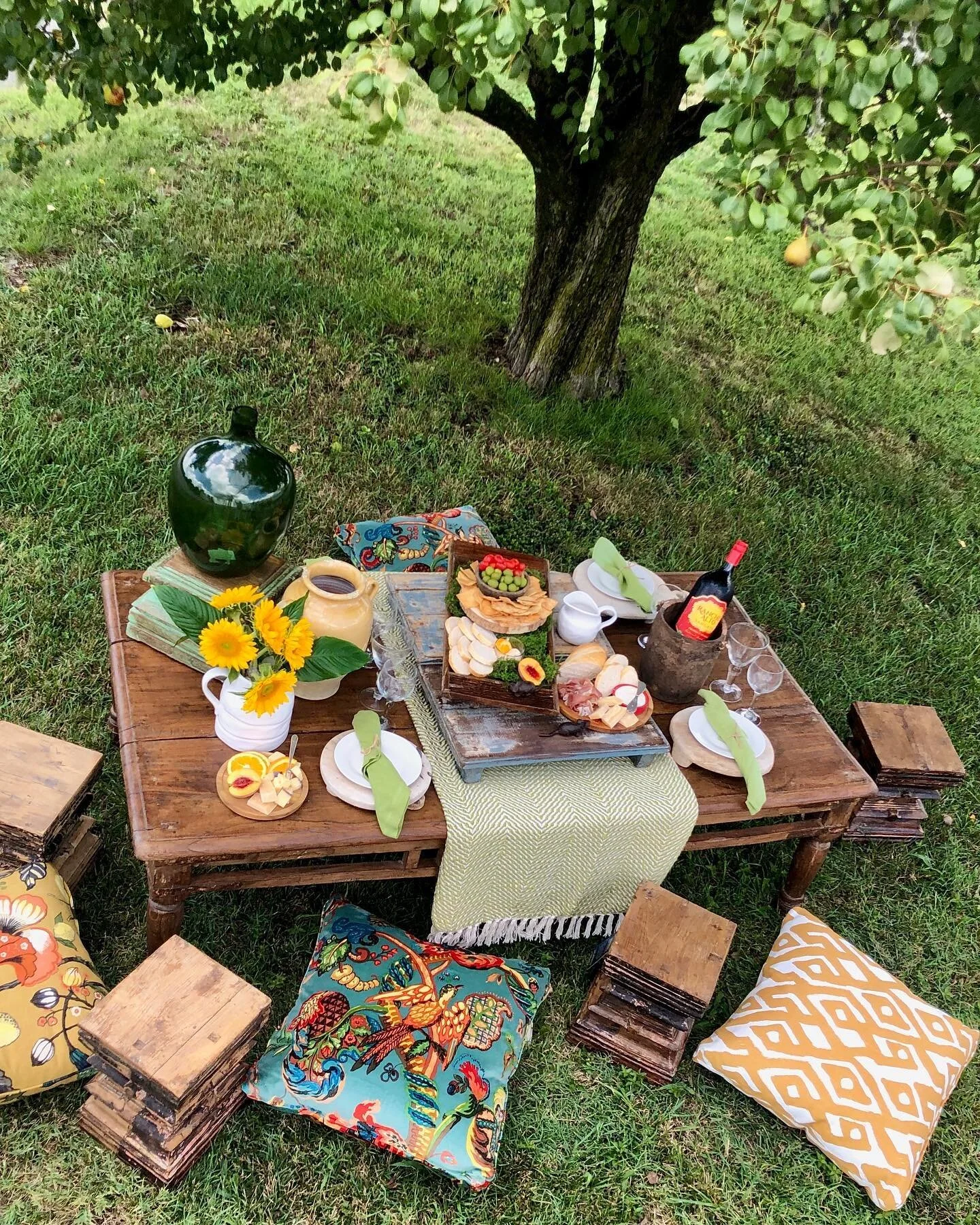 Create The Perfect Picnic At Home! — Merridian Home Furnishings