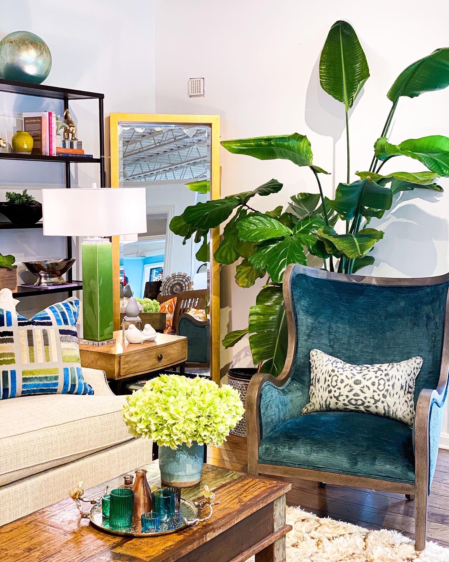 3 Benefits of Biophilic Design (+ WHAT it is!) — Merridian Home Furnishings