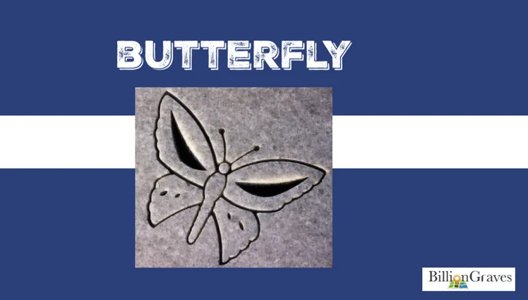 Butterfly.jpg