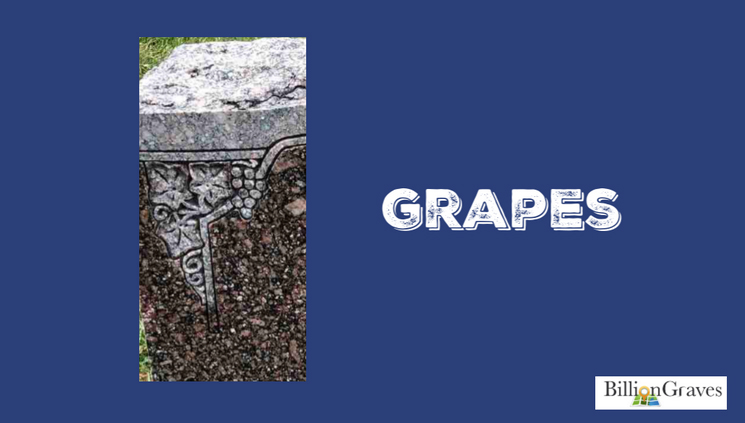 Grapes.jpg