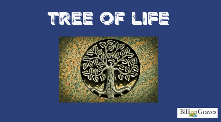 TreeOfLife.jpg