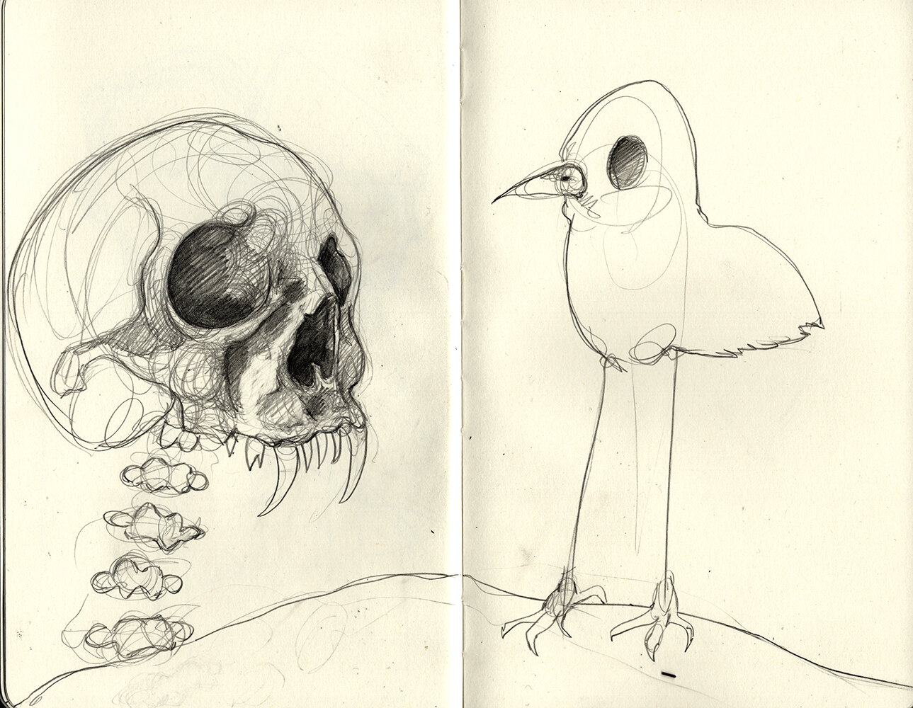 skull bird_sm.jpg