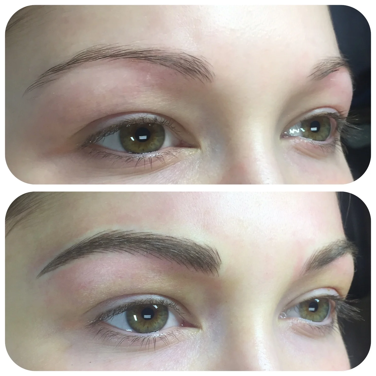  Microblading with Shading added by Lauren Brooke Brown 