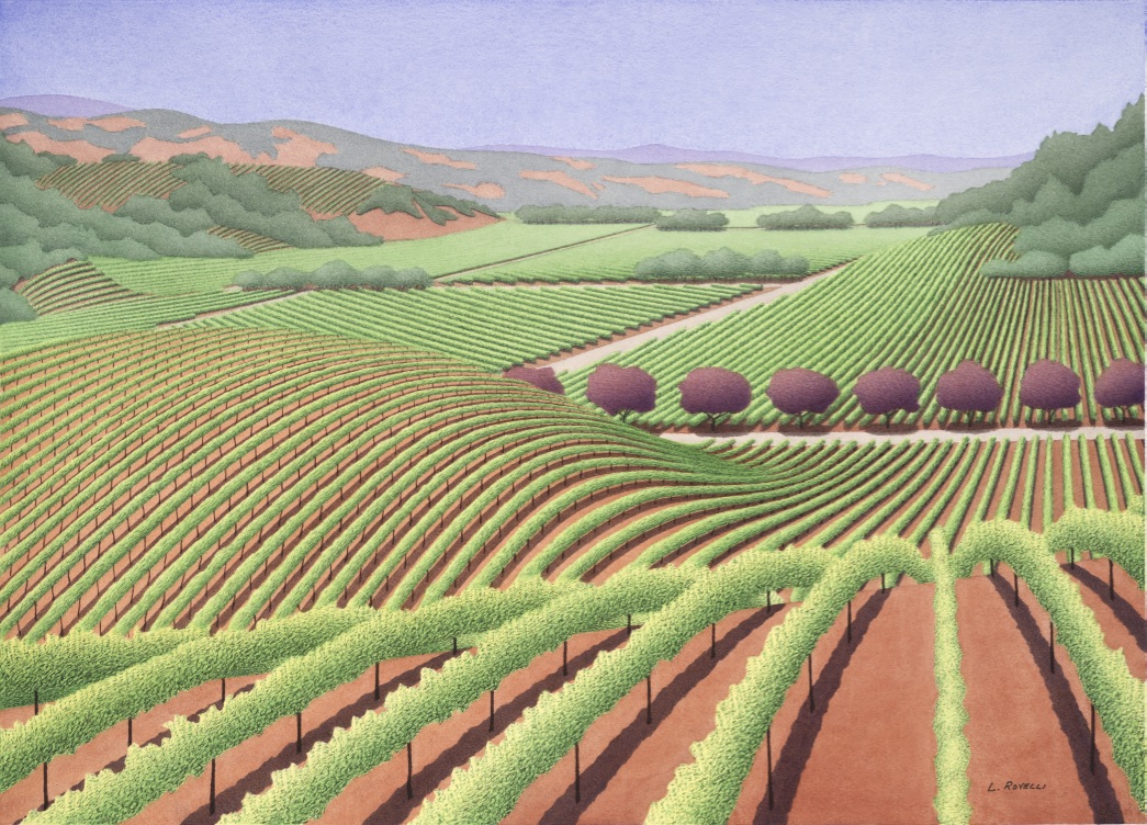 Vineyards