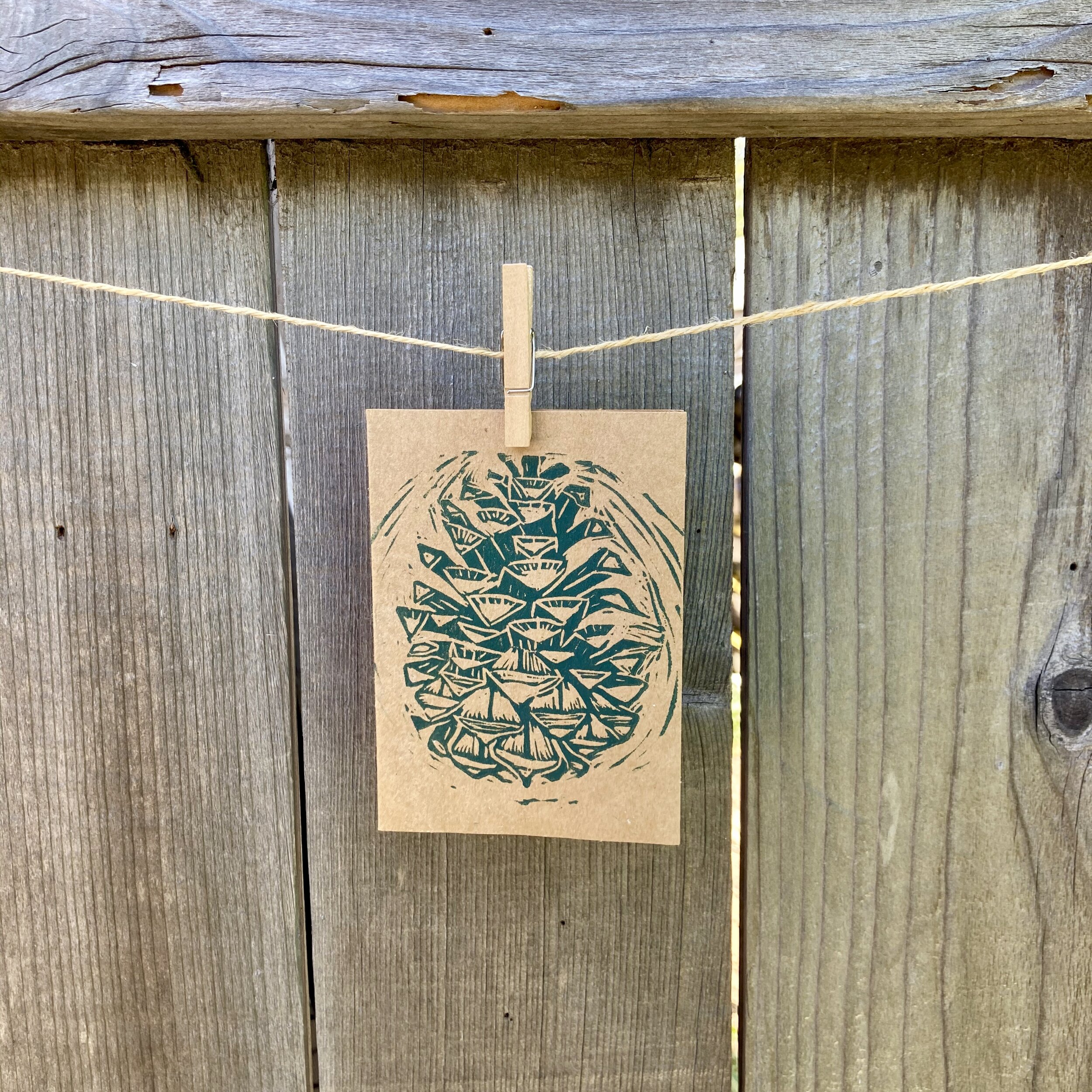 Pine Cone Cards (Set of 4)