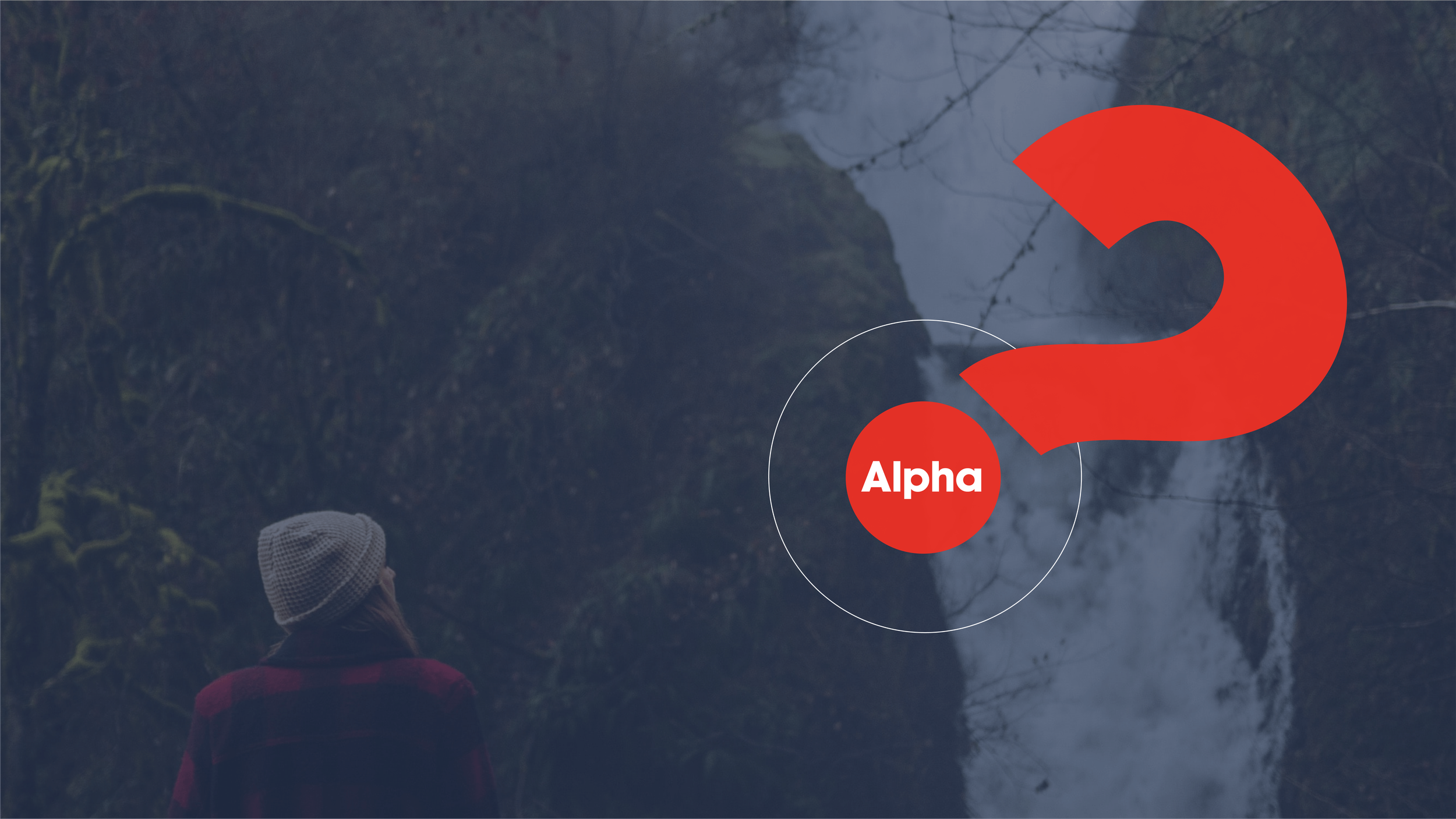 Spring Term Alpha Night
