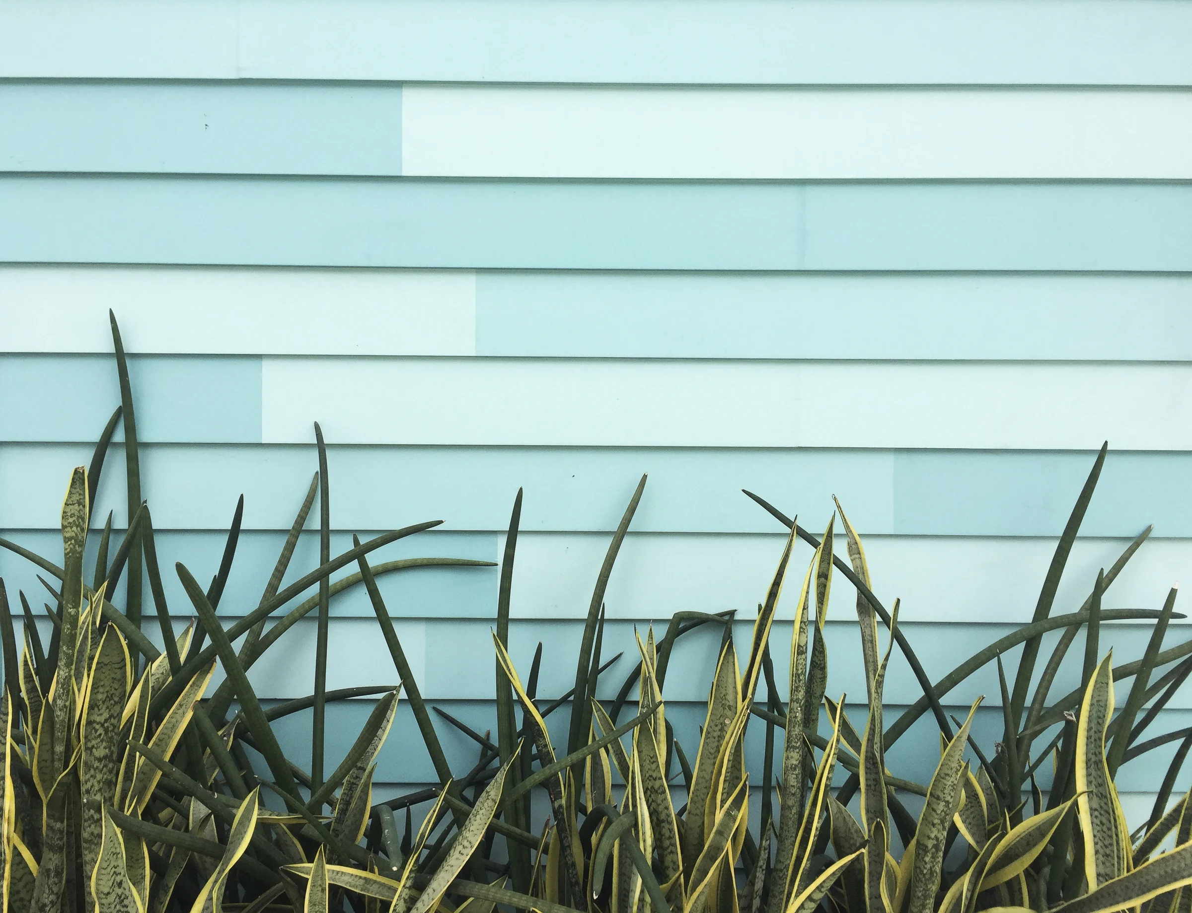 double sided mag-1-7.jpg