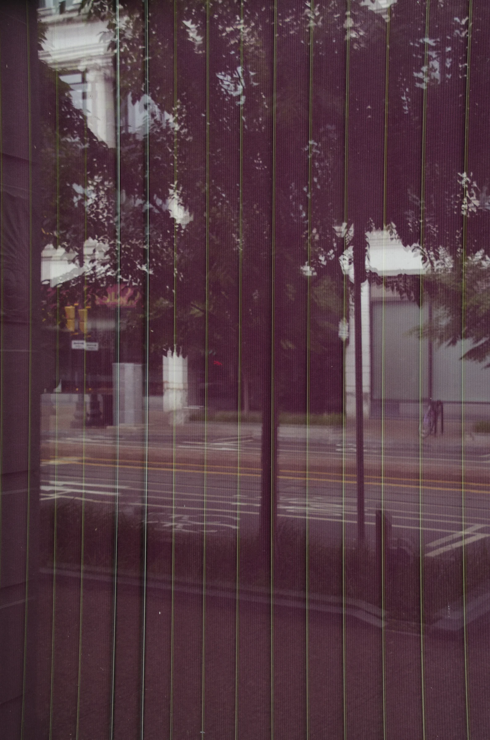 photography for web-2.jpg