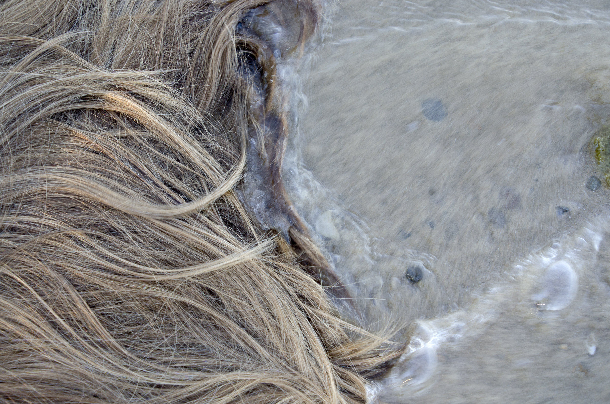 photography for web-13.jpg