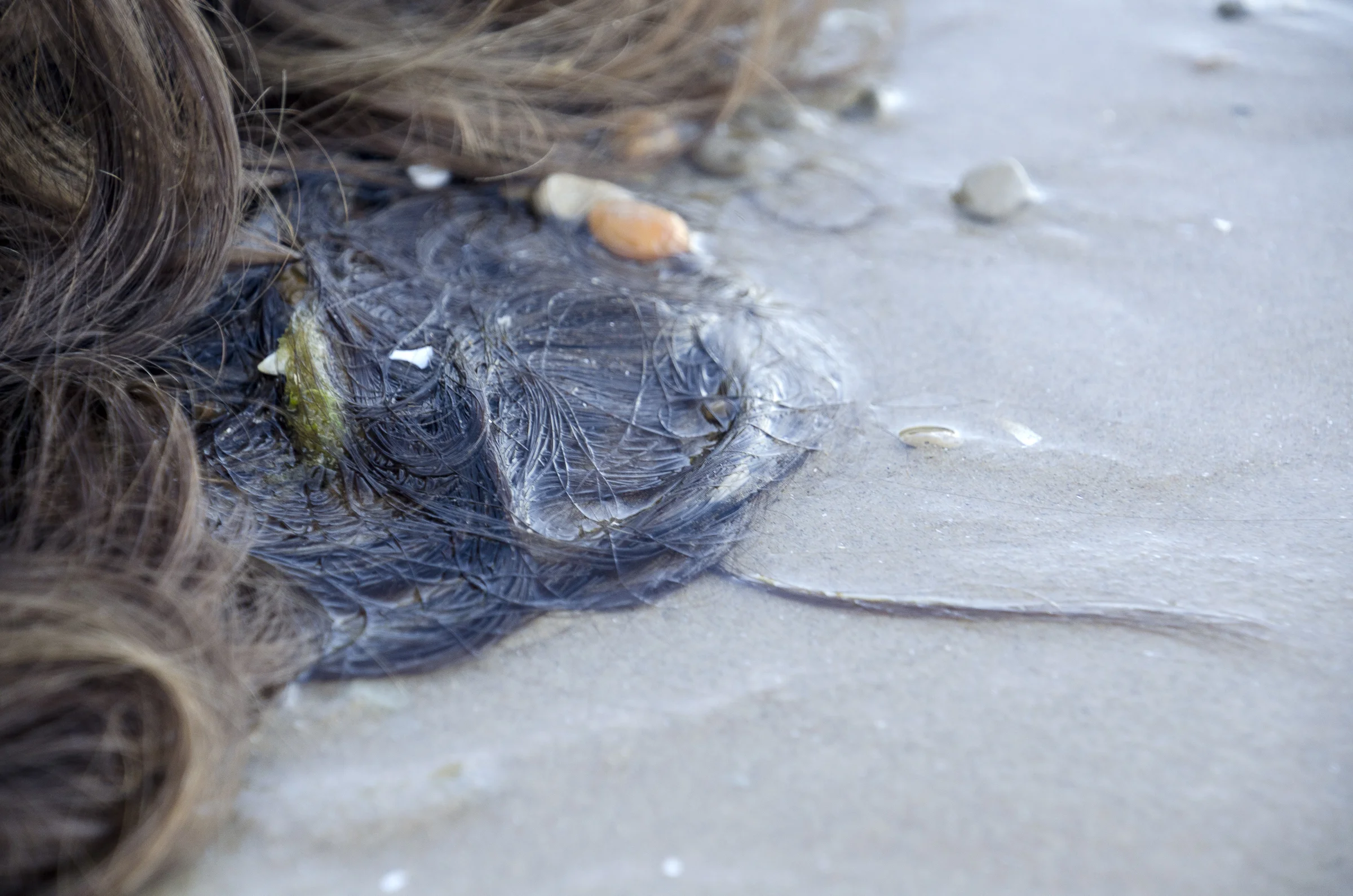 photography for web-15.jpg