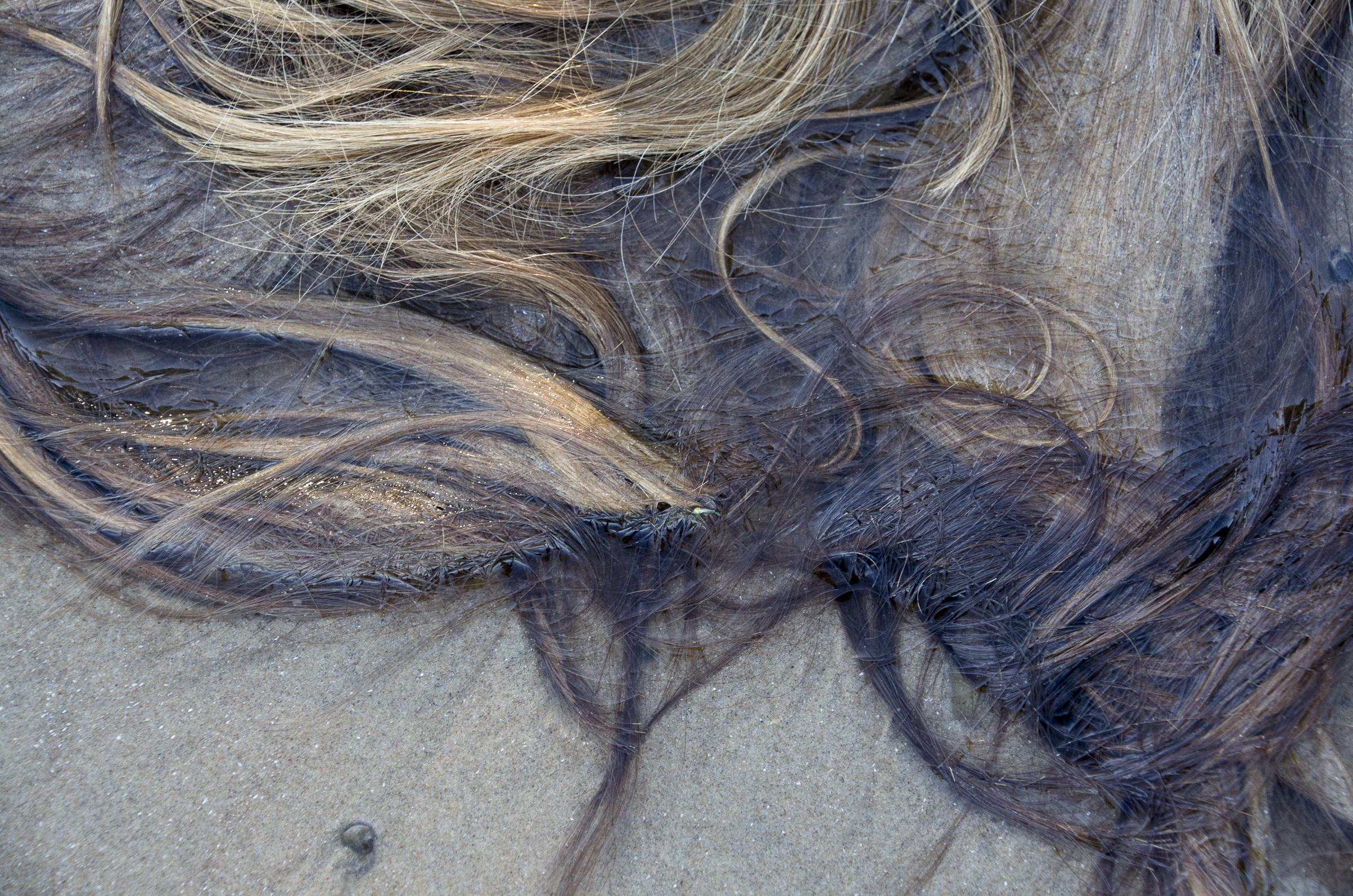 photography for web-14.jpg