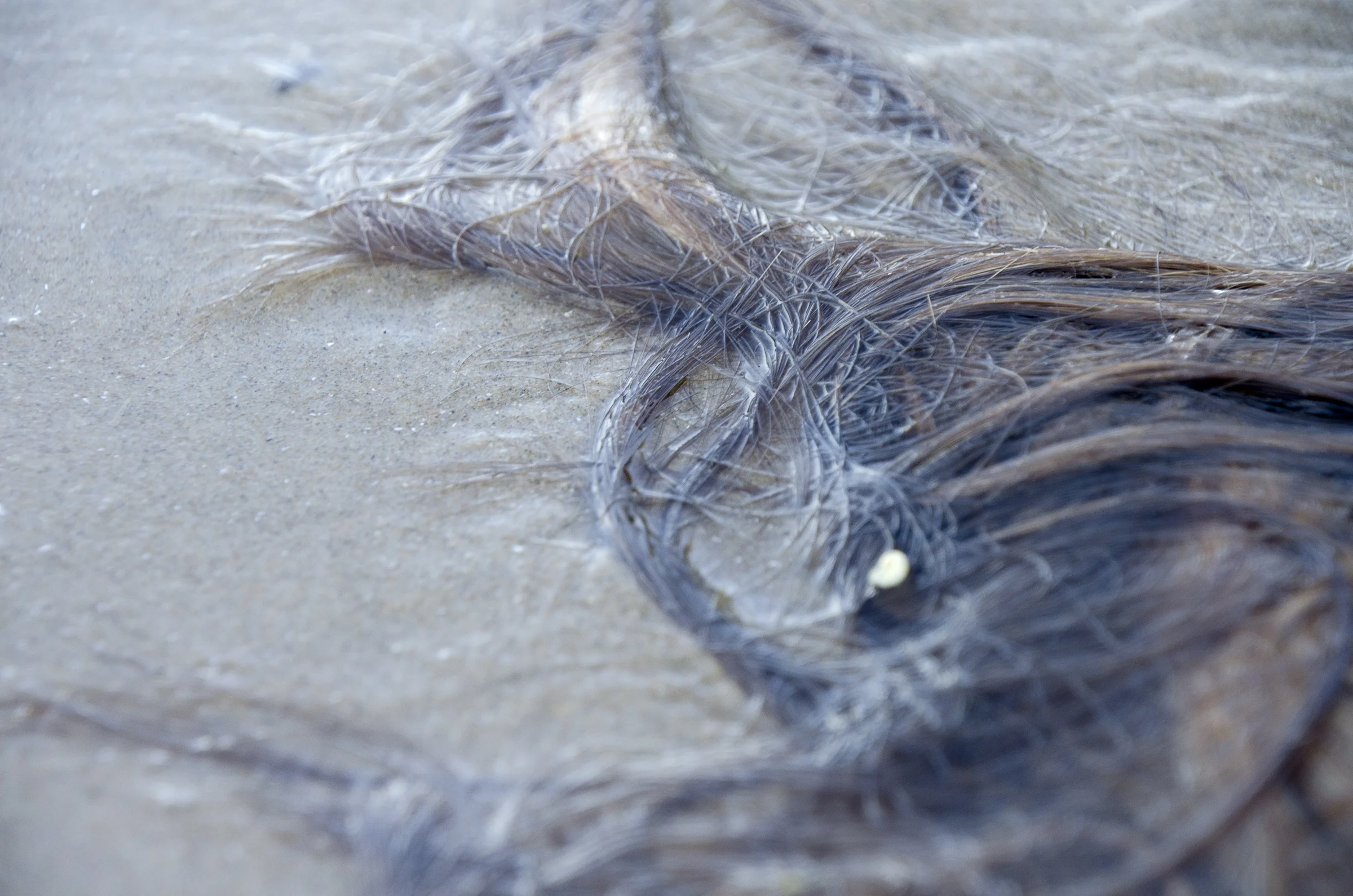 photography for web-16.jpg