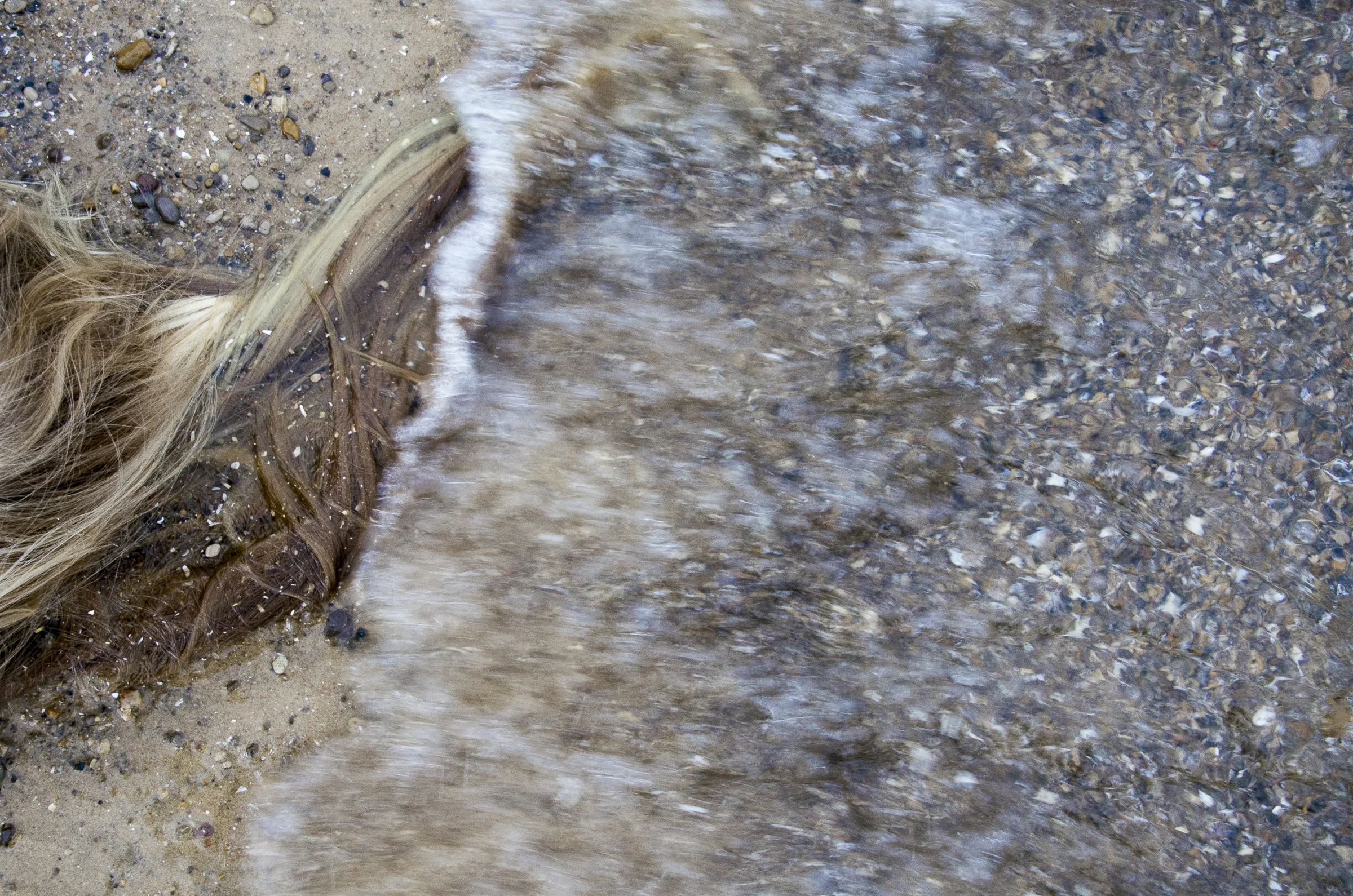 photography for web-18.jpg