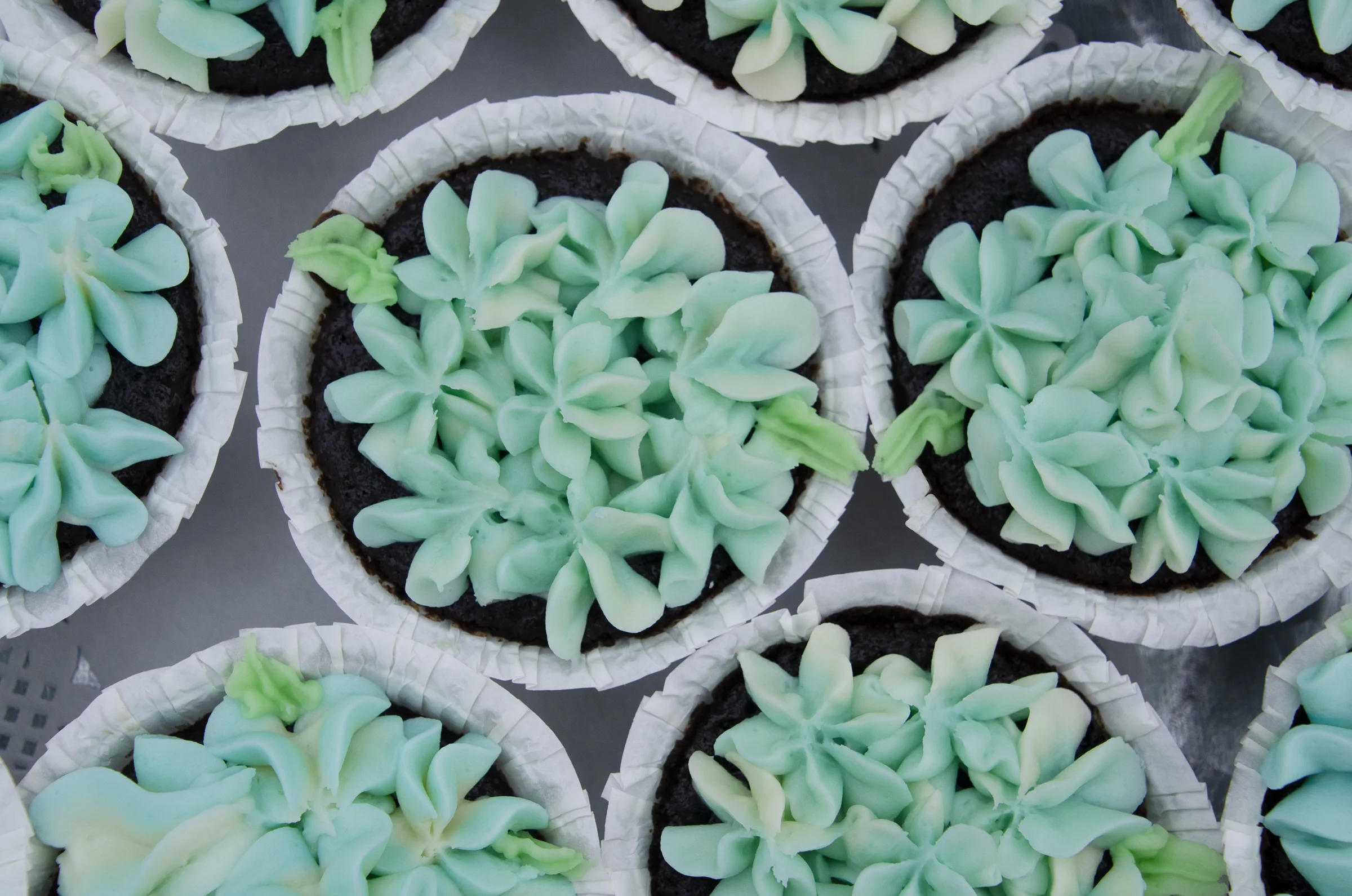 cait and rob-1-2.jpg