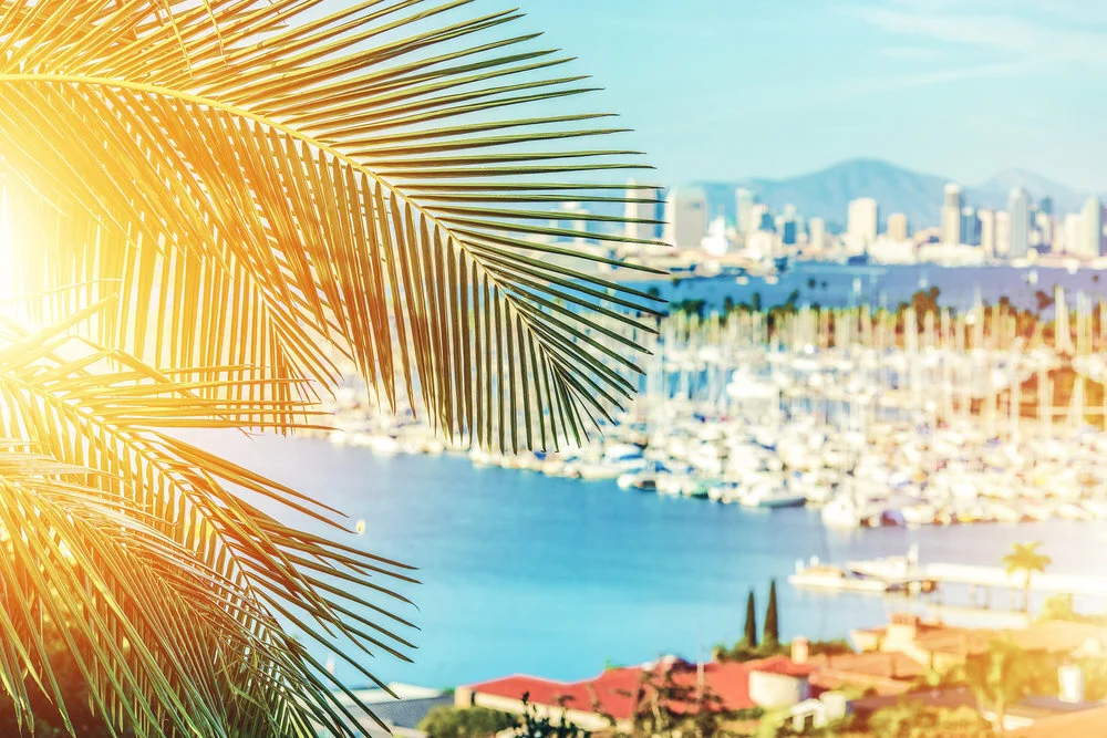 Plant and Animal Genome Conference (PAG), San Diego 15 January 2020: Handlery Hotel