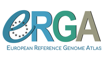Erga Logo.png