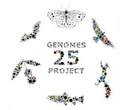 Genomes 25.jpg