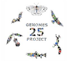 Genomes 25.jpg