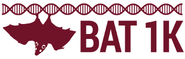 Logo Bat 1k.png