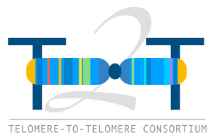 Telomere to telomere consortium.png