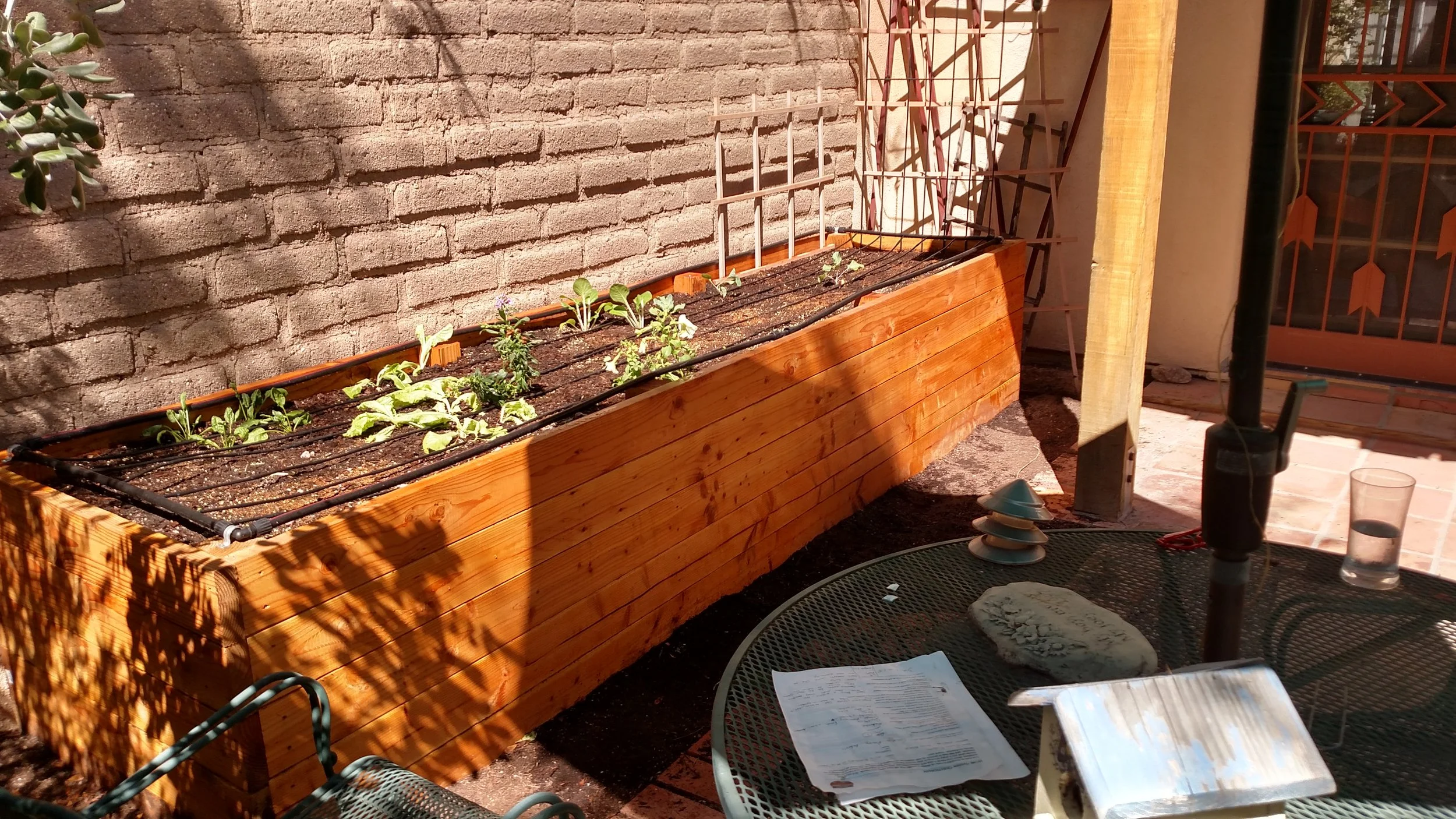 2015-09-24 11.10.08.jpg