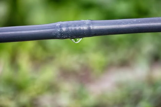 Drip Irrigation for Home Gardens