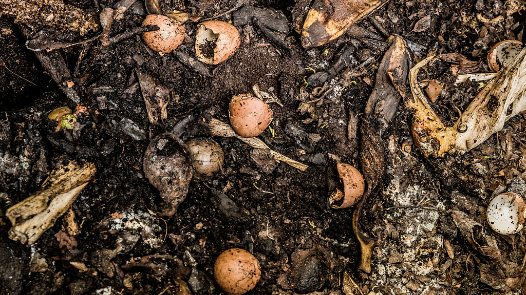 Compost.jpg