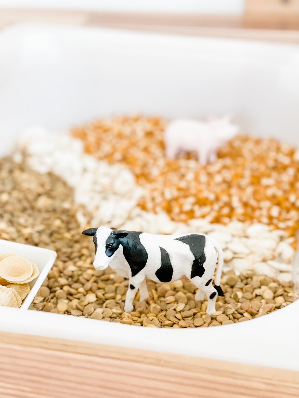 Sense & Grow Sensory Sand Bin - Farm Animals