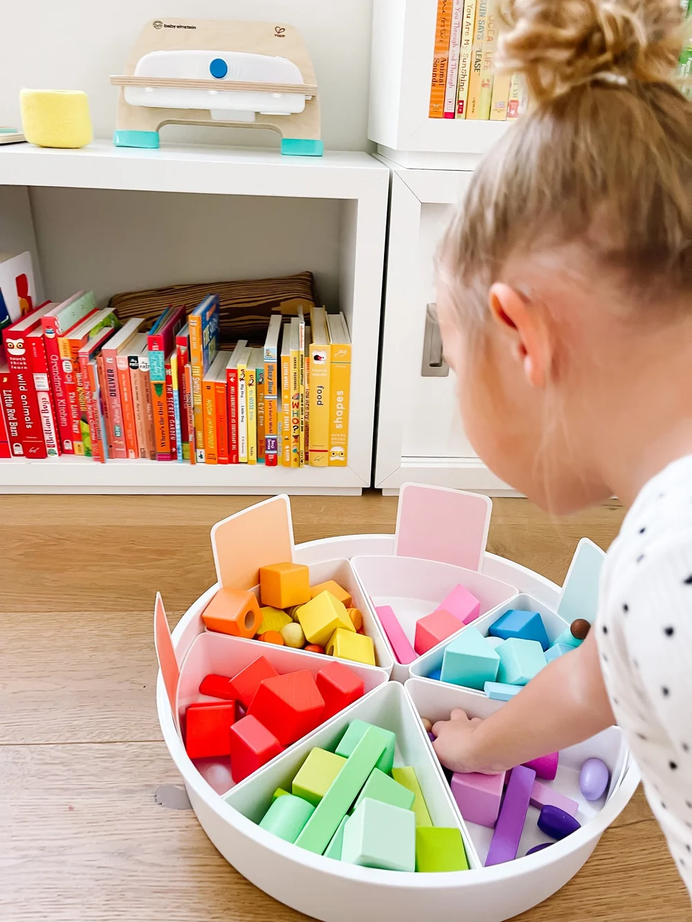 Goodnight Fox - Rainbow Color Sorting Tray