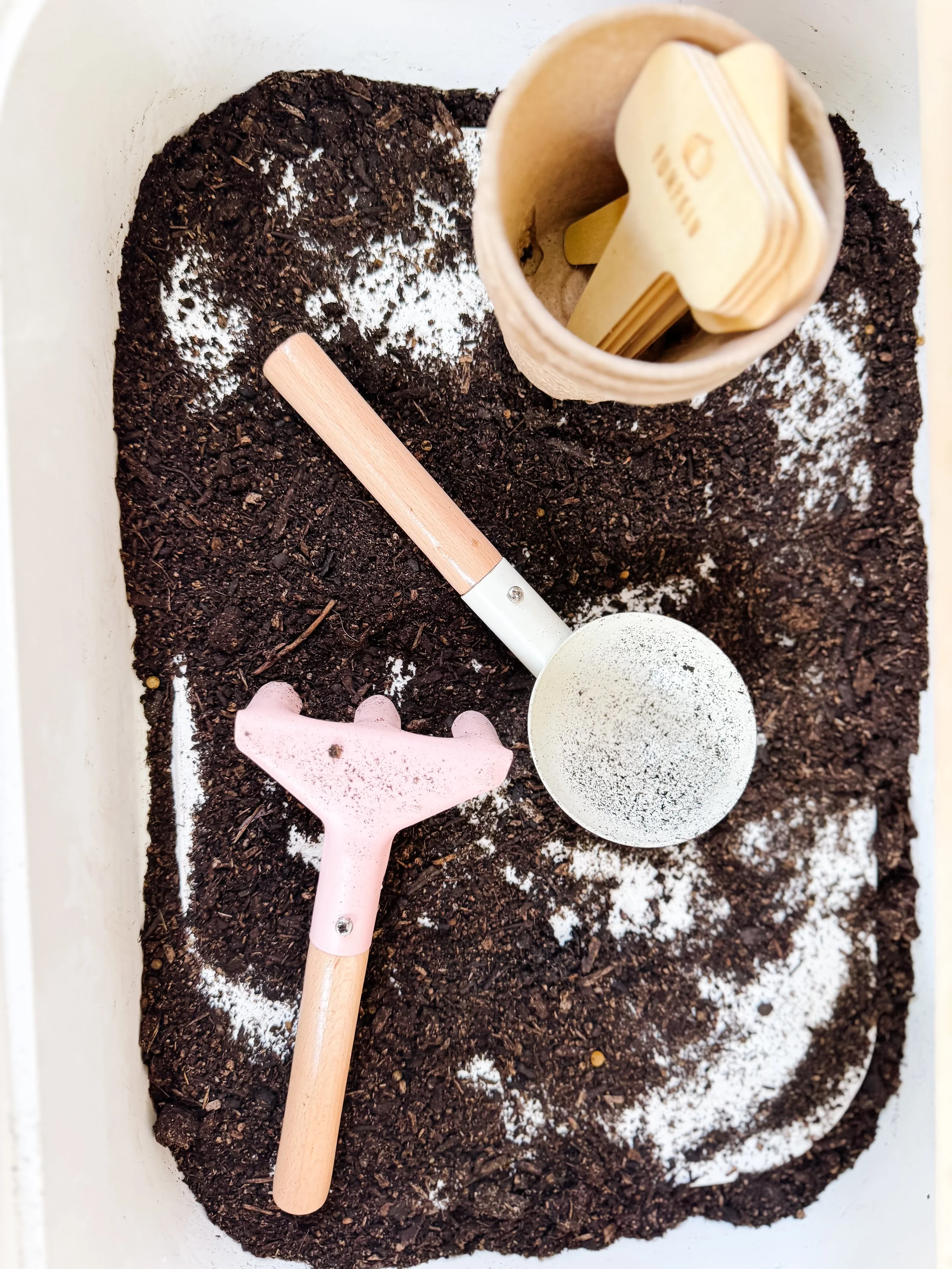 Soil tray, gardening scoop, rake and wooden plant labels prepared for an avocado-growing activity with kids.