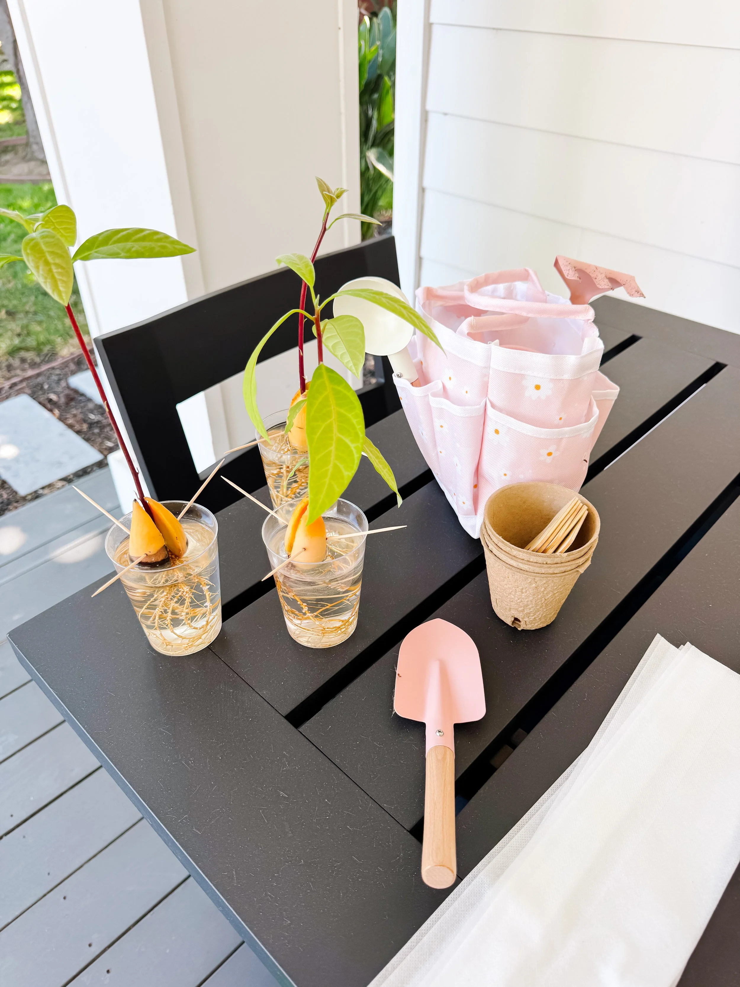 Rooted avocado seedlings displayed beside child-friendly gardening supplies.