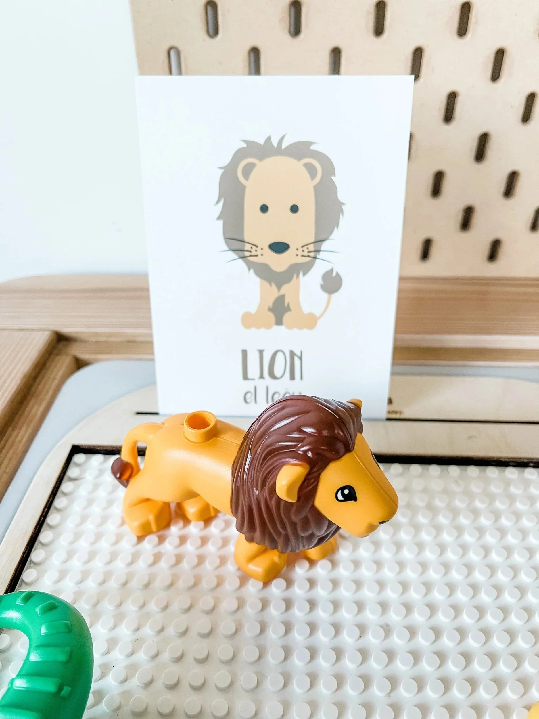🦁 Letter of the Week: Z is for Zoo