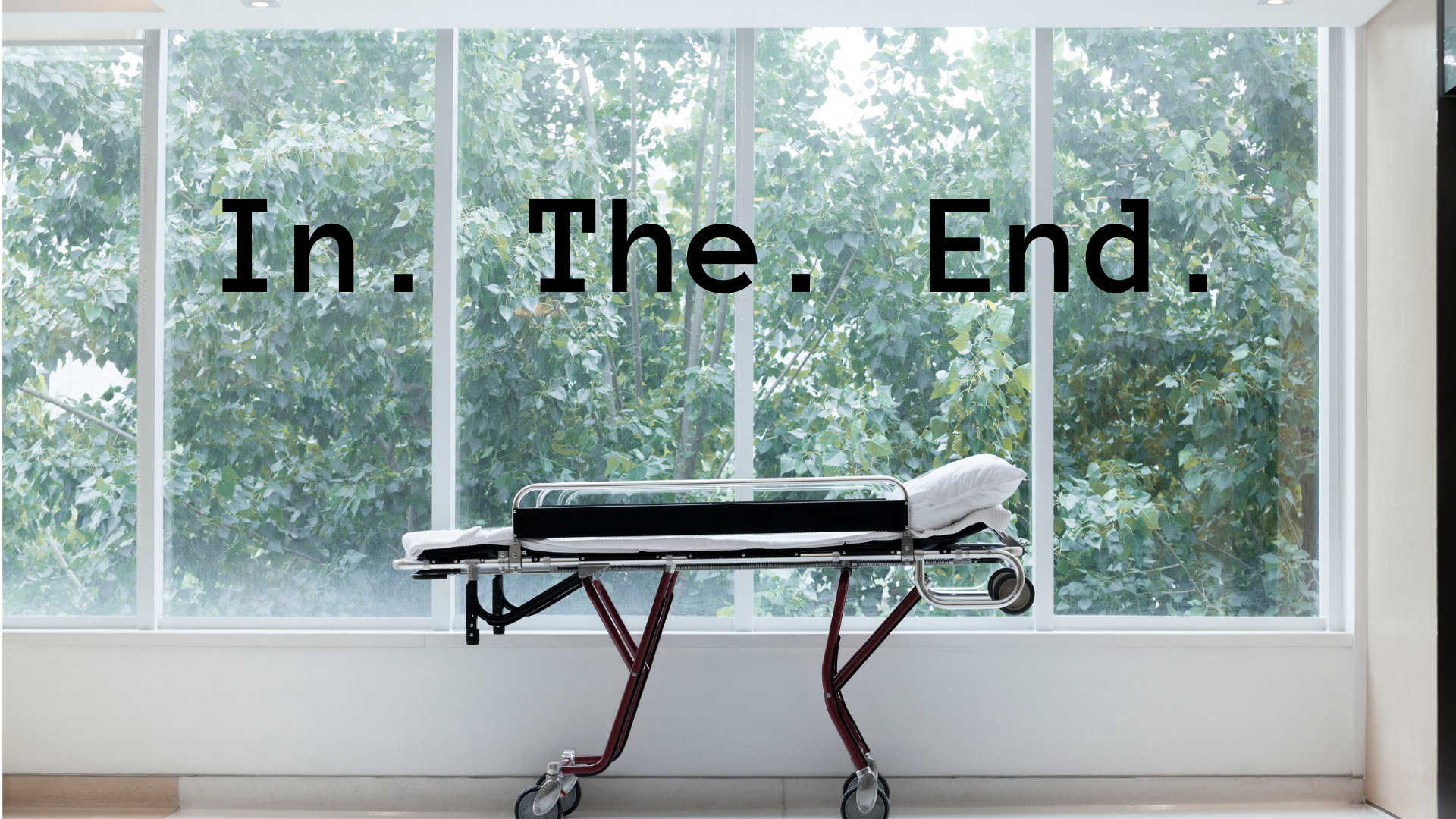 In The End - Medium (2).png