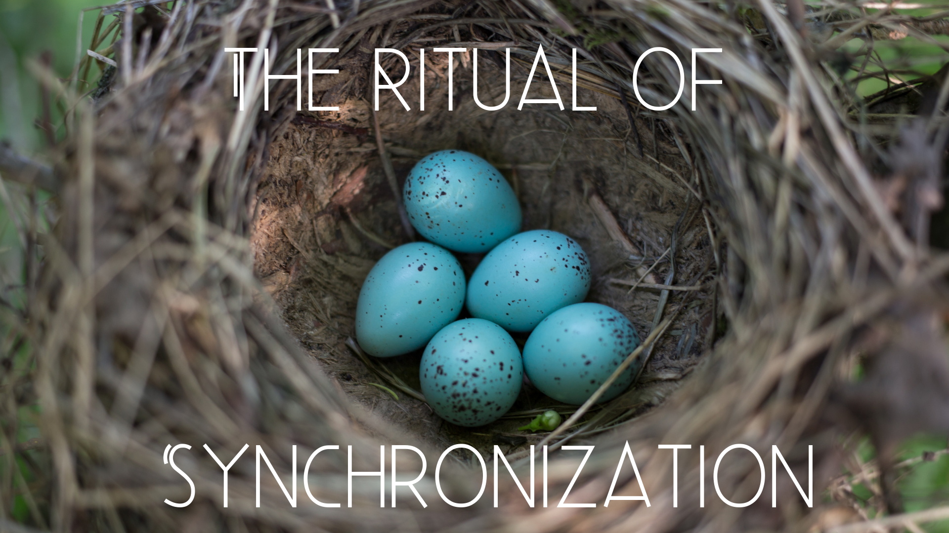 Synchronization (1).png