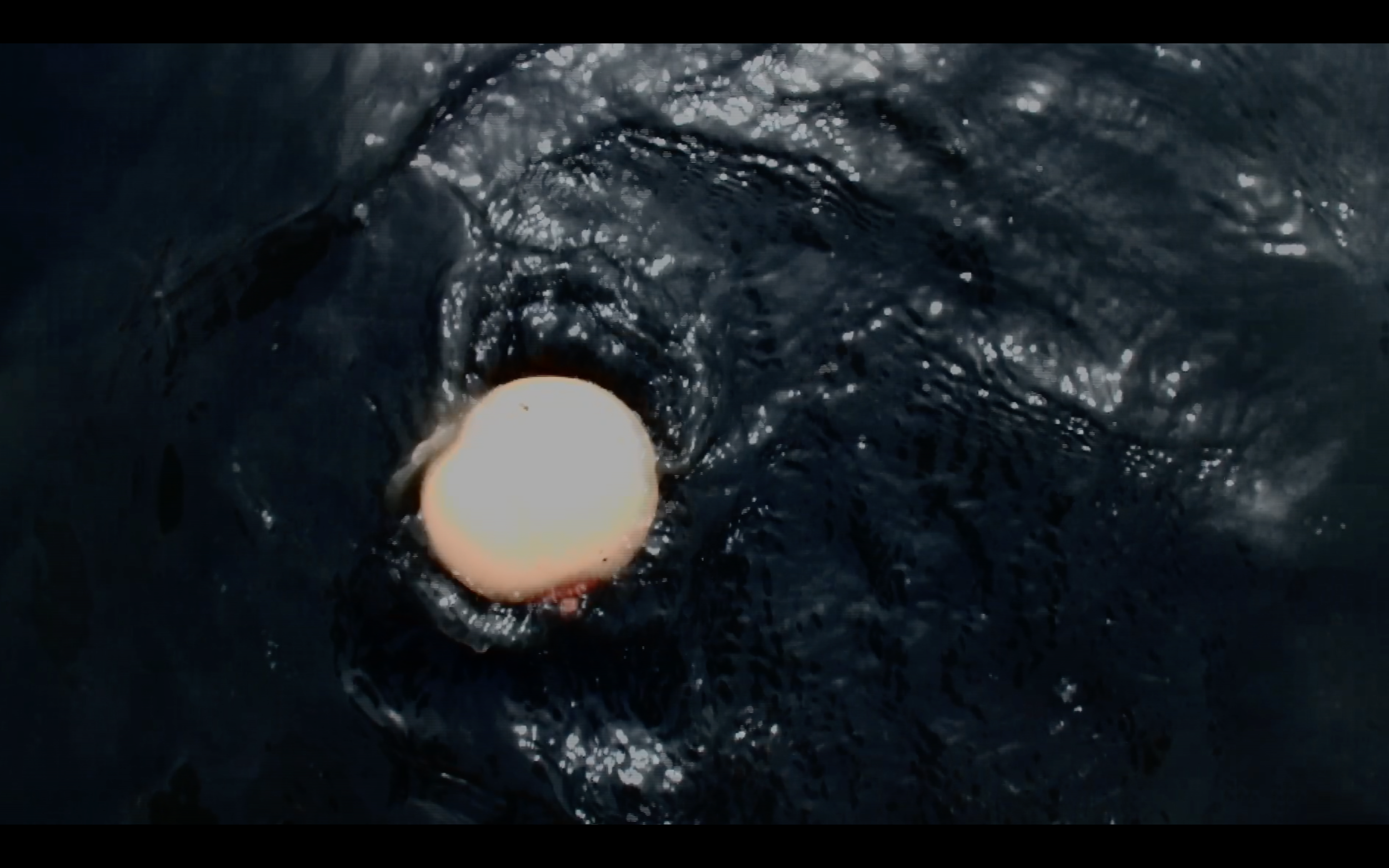 Screen Shot 2017-07-26 at 01.09.26.png